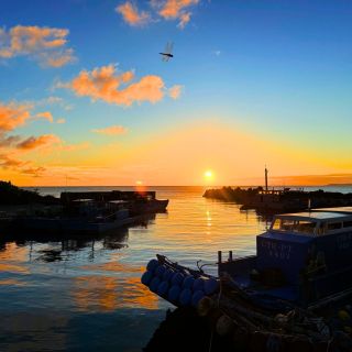 生態漫遊_鼻頭漁港夕陽